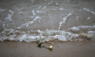 Bông hồng trắng đặt trên bờ biển Ban Nam Khem, Thái Lan để tượng niệm những nạn nhân xấu số trong thảm họa kinh hoàng nhất lịch sử thế giới.