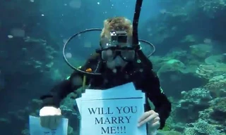 Phát sốt với chàng trai lặn xuống biển để cầu hôn