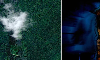 Ảnh chụp khu rừng từ trên cao của NASA