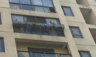 Cậu bé rơi xuống kệ hoa trước khi rơi xuống đất