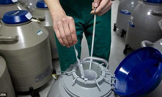 Phôi thai được đông lạnh trong bệnh viện ở Thượng Hải