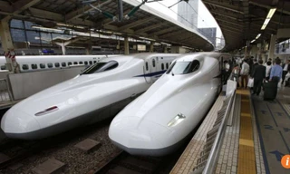 Tàu cao tốc buộc phải dừng khẩn cấp vì có rắn trên toa