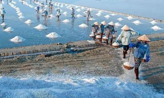 Giá 'vàng trắng' bấp bênh, diêm dân chưa thoát nghèo