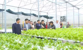 Hà Nội hoàn thành nhiệm vụ xây dựng nông thôn mới 
