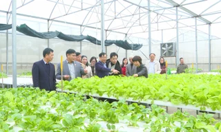 Hà Nội hoàn thành nhiệm vụ xây dựng nông thôn mới 