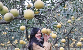 Check - in Hà Nội: Đi đâu để có ảnh Noel, ảnh Tết 'triệu like'?