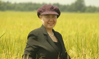 Tiên phong đưa bún tươi Việt Nam xuất khẩu