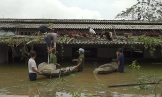 Xuất hiện 'ốc đảo' ở huyện Ba Vì, Hà Nội sau mưa lũ
