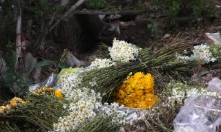 Người dân làng hoa Hà Nội đối mặt với nỗi lo 'mất' Tết