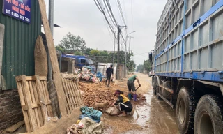 Ghi nhận tại 'xóm nước đen' làng miến Dương Liễu ngày giáp Tết