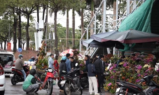 27 Tết, người dân 'đội' mưa mua đào, quất giảm giá