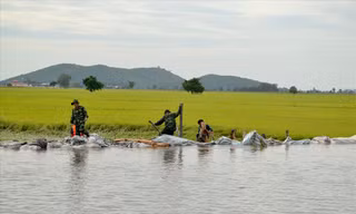 Ban đạo Trung ương về Phòng chống thiên tai yêu cầu các tỉnh ĐBSCL đảm bảo an toàn cho hạ du khi mở cửa đập xả lũ