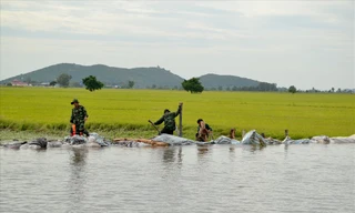 Ban đạo Trung ương về Phòng chống thiên tai yêu cầu các tỉnh ĐBSCL đảm bảo an toàn cho hạ du khi mở cửa đập xả lũ