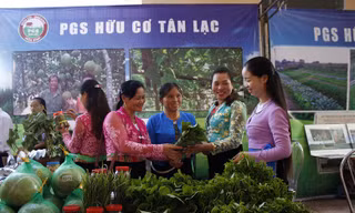 Mô hình sản xuất nông nghiệp hữu cơ đang được mở rộng ở nhiều địa phương (Ảnh: Trung Hiền)