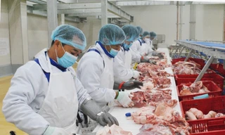 Để giữ trọn dưỡng chất cùng độ ngon tối ưu của thịt, sản phẩm thịt heo Meat Deli luôn được bảo quản xuyên suốt ở nhiệt độ 0-4 độ C từ nhà máy đến tận tay người tiêu dùng.