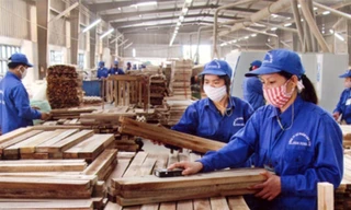 có xu hướng doanh nghiệp đầu tư sang ngành gỗ ở Việt Nam để "né" các chính sách trả đũa thương mại Mỹ-Trung.