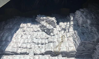 Vượt qua nhiều doanh nghiệp từ Thái Lan, Trung Quốc, Úc, Tập đoàn Tân Long trúng thầu xuất 60.000 tấn gạo Nhật cho Chính phủ Hàn Quốc