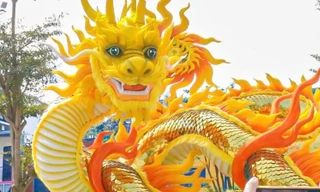 Rồng Việt Nam rất hiền lành