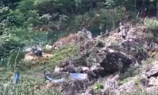 CLIP: Đàn khỉ 50 con từ trên núi xuống phá hoa màu người dân