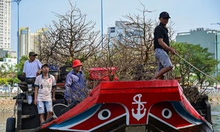 TP HCM sẽ mua hoa tết nếu tiểu thương bến Bình Đông bán ế