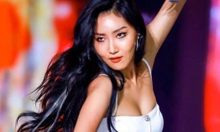 Hủy 2 đêm nhạc ở sân Mỹ Đình