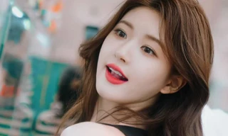 Triệu Lộ Tư lại bị chỉ trích khắp mạng xã hội