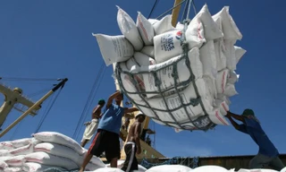 Việt Nam chi gần 900 triệu USD nhập khẩu gạo