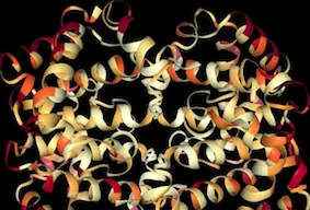 3 công trình nghiên cứu ấn tượng, đột phá của học giả Việt năm 2017