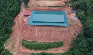 Kỷ luật nhóm cán bộ xã liên quan vụ hủy hoại đất rừng ở Hòa Bình