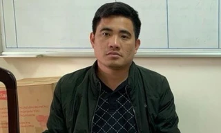 Bắt tạm giam Giám đốc công ty khai thác trái phép trên 47.000 m3 đất 