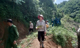 Người phụ nữ mất tích khi vào rừng hái măng