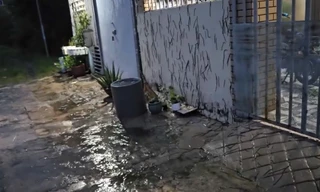 Kinh hãi cảnh hàng nghìn con giun chui lên mặt đất, leo tường nhà ở Vũng Tàu