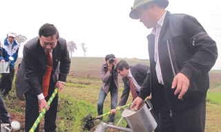 Mộc Châu nghiêng xanh