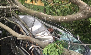 Chiếc ô tô bị đè bẹp, tài xế may mắn thoát chết.