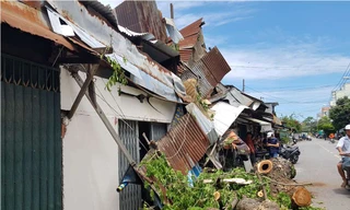 Hiện trường vụ việc.