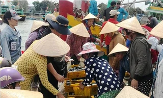 Sau 'sóng gió', cảng cá Phan Thiết nhộn nhịp ngày cuối tuần