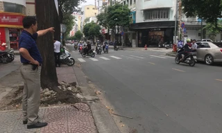 Anh V. chỉ nơi bị tên cướp giật chiếc túi xách.