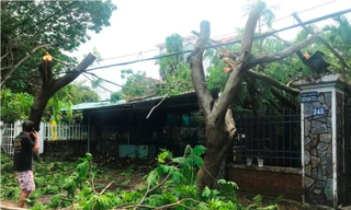 Người dân huyện đảo ở TPHCM: Bão số 9 vẫn còn... hiền