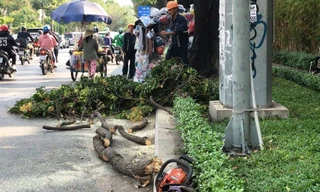 Hiện trường vụ việc.