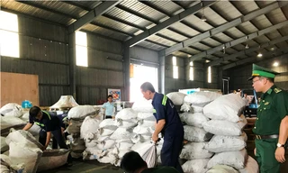 Hàng trăm bao tải chứa vảy tê tê giấu trong container gỗ.