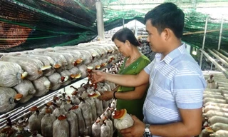 Anh Thắng cùng mẹ mình tại khu vực trồng nấm Linh Chi.