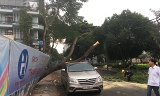 Hiện trường vụ việc.