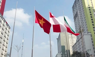 Quốc kỳ Việt Nam tung bay ở làng VĐV ASIAD 18