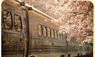 “Mãi Mãi Là Bao Xa” - Tiểu thuyết ngôn tình gây “u mê” được chuyển thể thành phim 