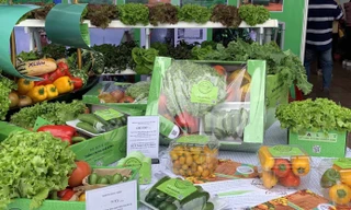 Giỏ quà Tết nông sản Đà Lạt.