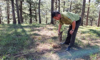 Kiểm lâm tìm dấu vết cây rừng bị cưa hạ, phi tang