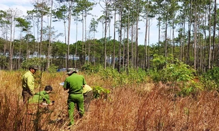 Lực lượng chức năng kiểm tra hiện trạng rừng