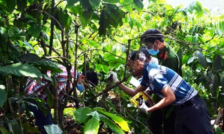 Thu thập chứng cứ tại hiện trường