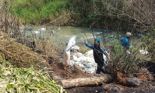 Vớt xác lợn chết bị xe tải tuồn xuống suối