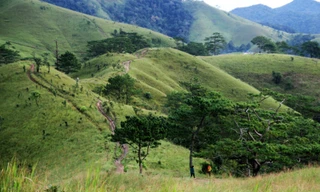 Cung đường phượt Tà Năng_Phan Dũng khá hiểm trở